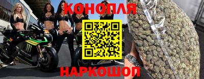 Альфа ПВП Можайск