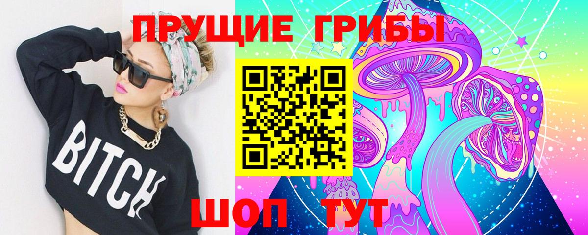 Галлюциногенные грибы Psilocybine cubensis  хочу   Богородицк  Вход с VPN 